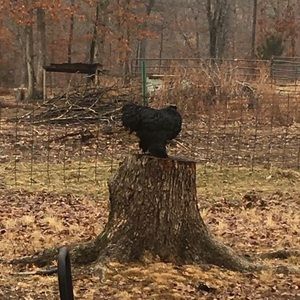 Meet your Posher, Teresa